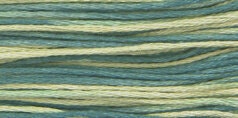 Eucalyptus #2146