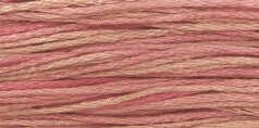 Camellia #2276