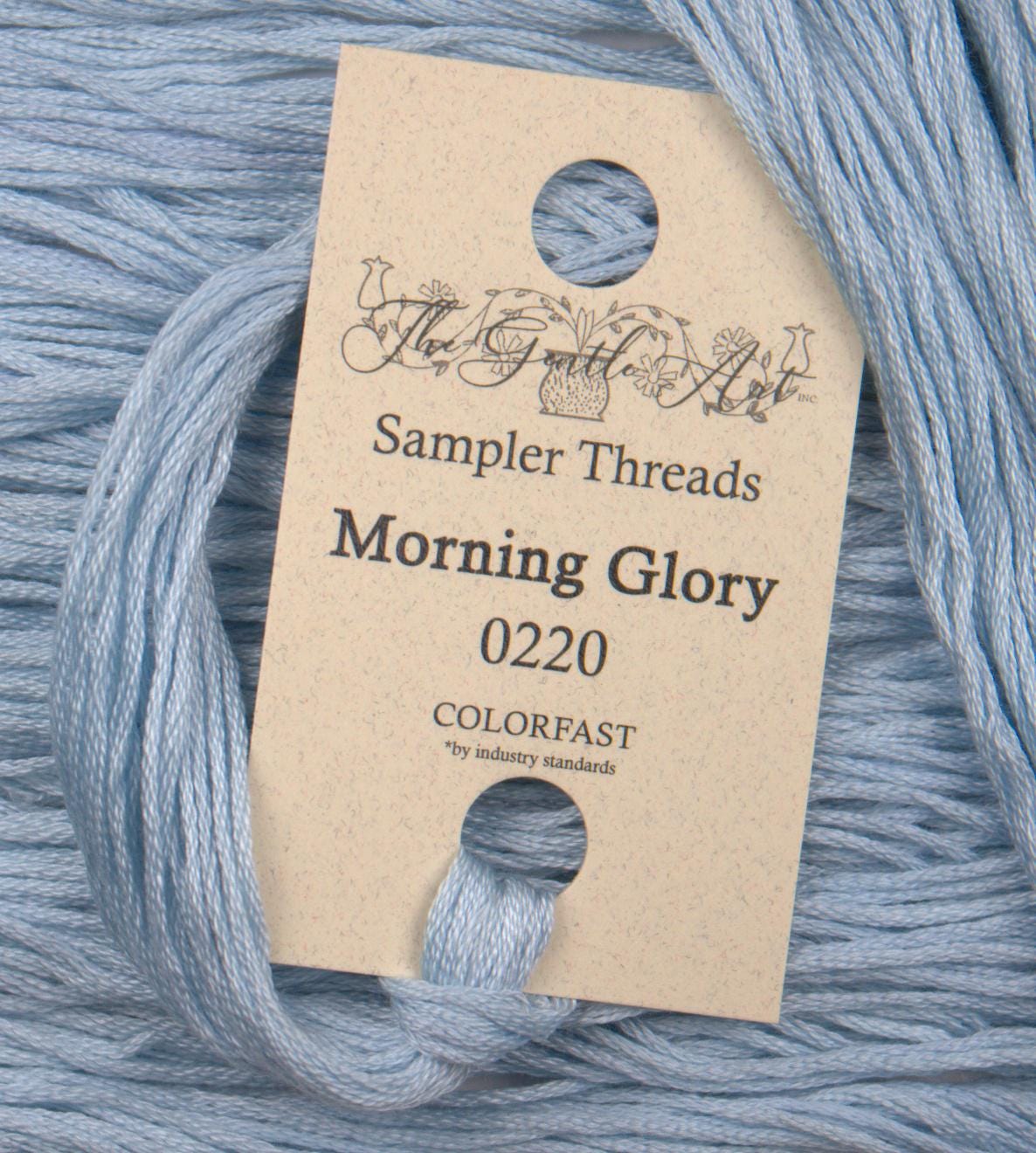 Morning Glory #0220