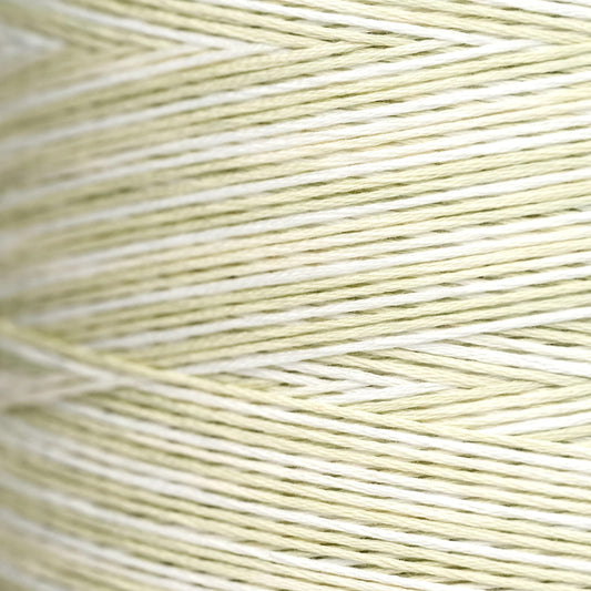 Chantilly #1090 - Weeks Dye Works Cotton Floss