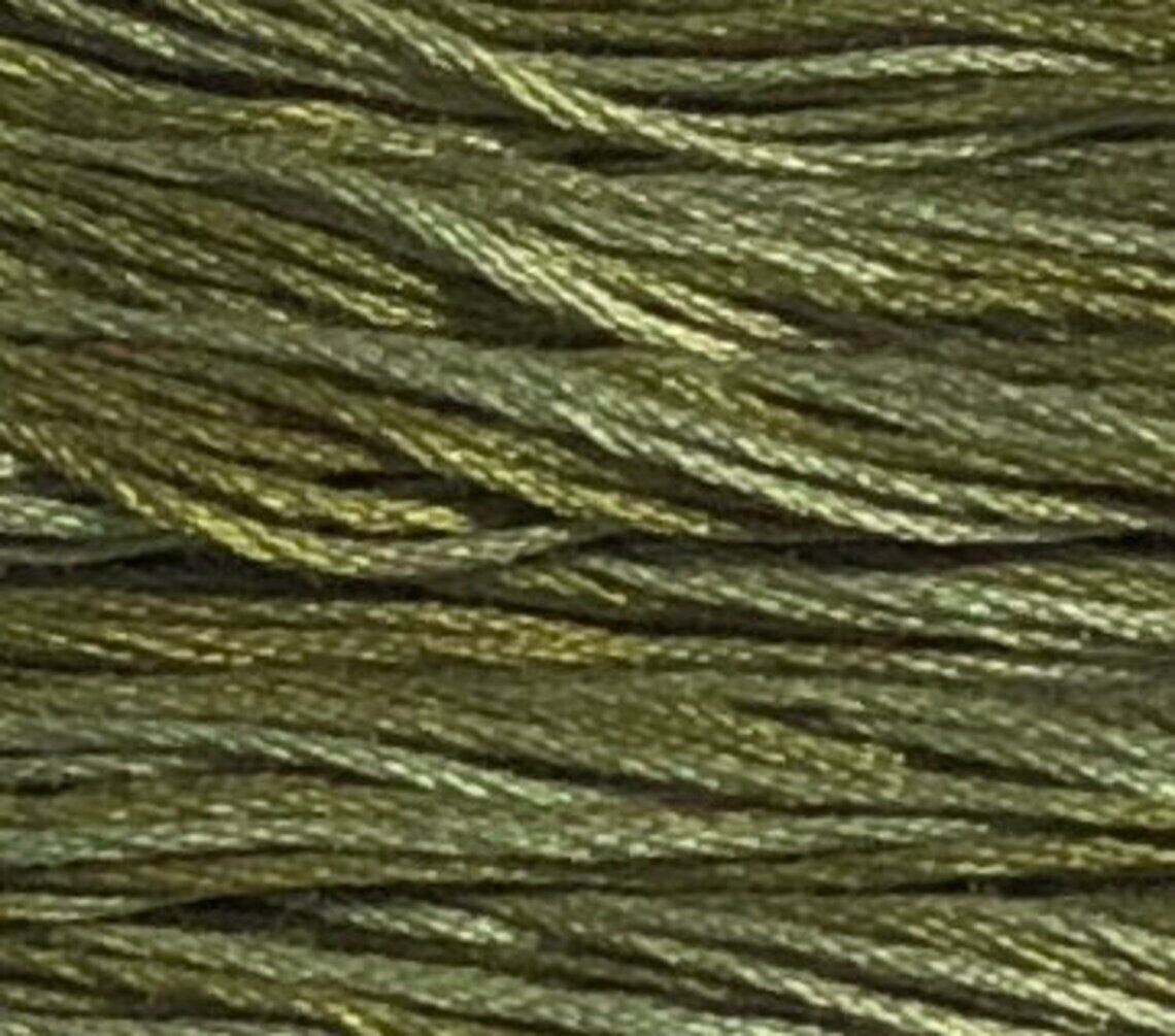 Scuppernong #2196