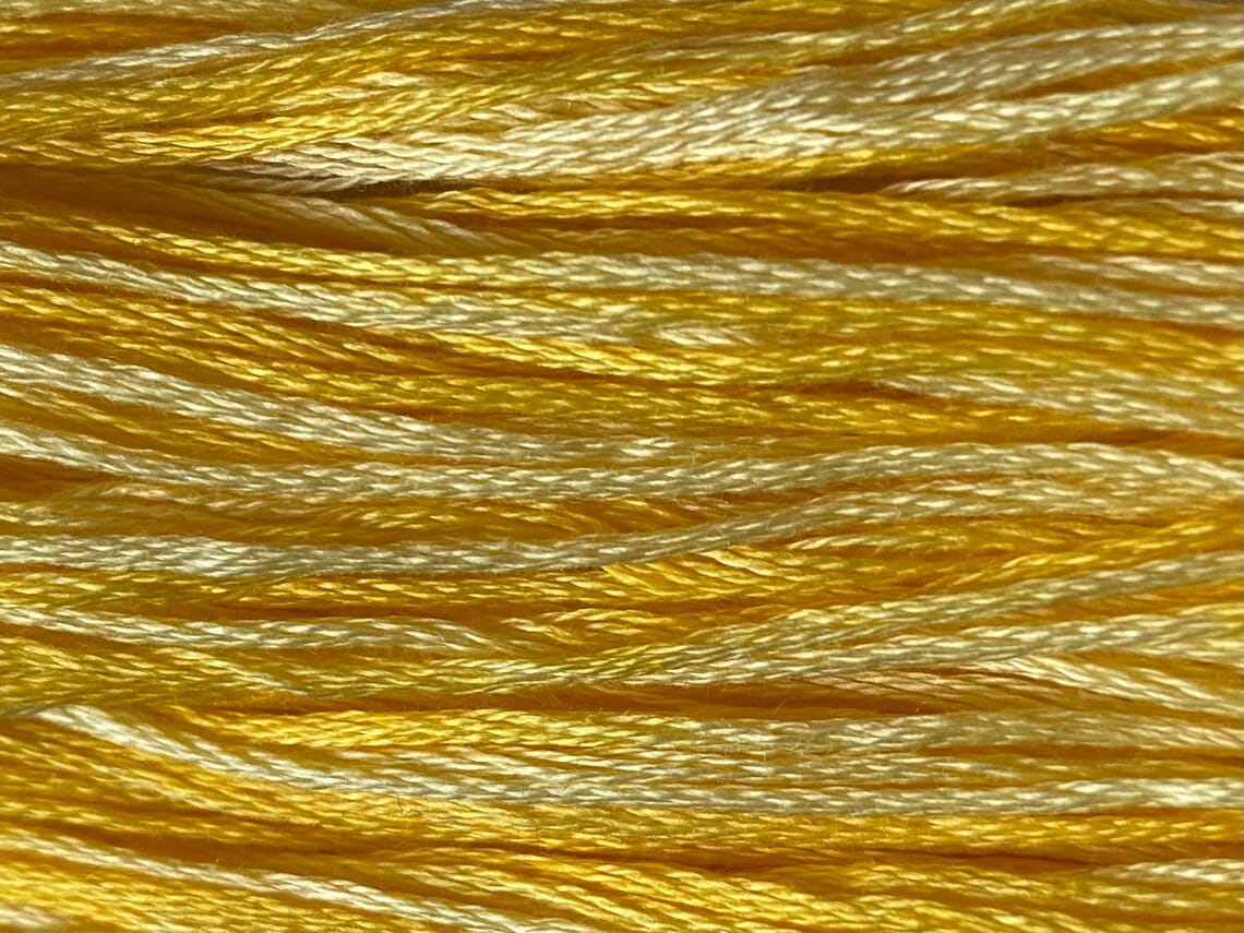 Sally's Sunshine #2218