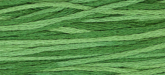 Monkey Grass #2168