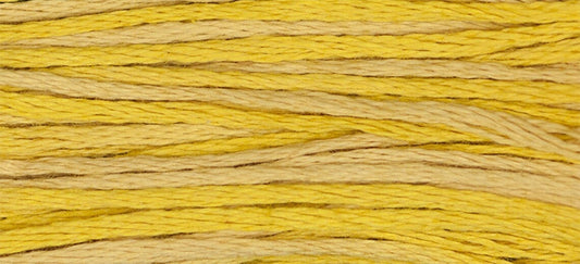 Curry #2220 - Weeks Dye Works Cotton Floss