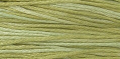 Dried Sage #1191