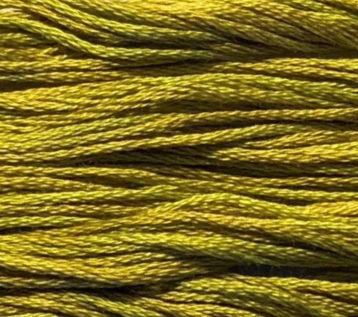 Lichen #2208