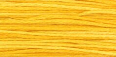 Squash #2224
