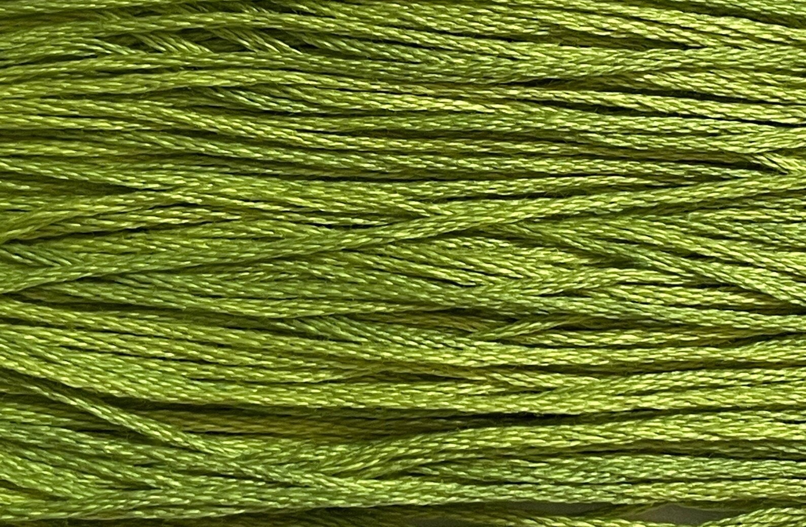 Apple Pucker #2202a