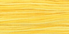 Saffron #2223