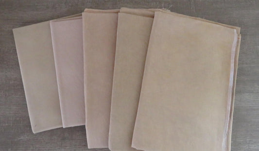 18 count HOGBRISTLE Aida Fabric - Hand Dyed by Fox and Rabbit - approximately 18.5" x 20.5"