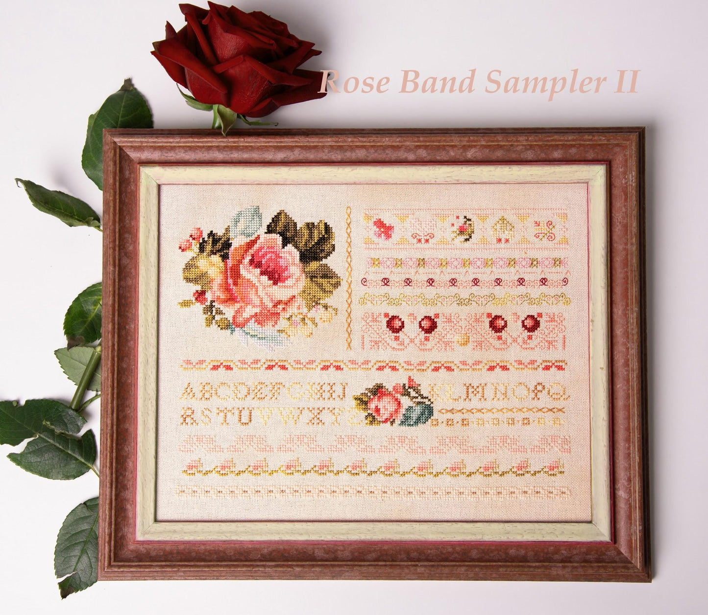 Rose Band Sampler II - Cross Stitch Paper Pattern