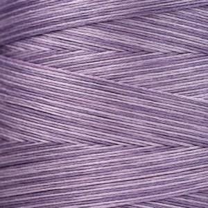 Catmint #1312