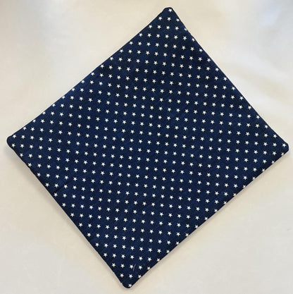 Project Bag 12 x 14 - Cloth - Patriotic Vintage-Style Paper Dolls