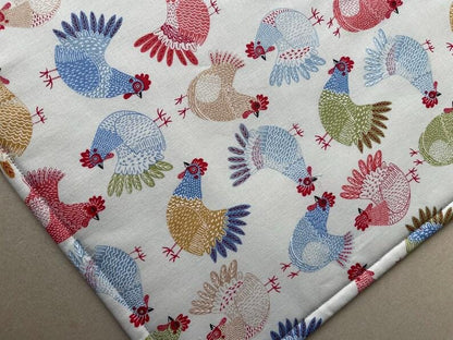 Project Bag 11 x 14 - Vinyl Front - Red Henhouse