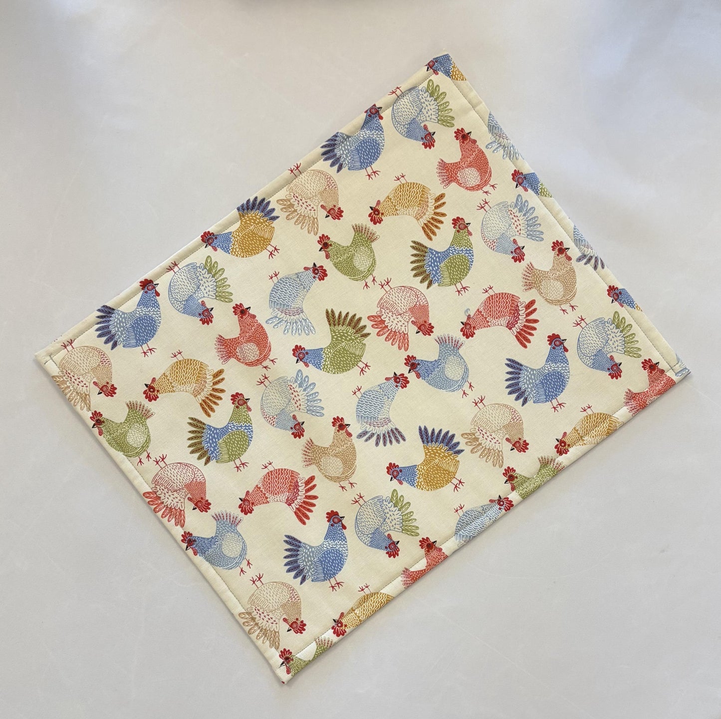 Project Bag 11 x 14 - Vinyl Front - Red Henhouse