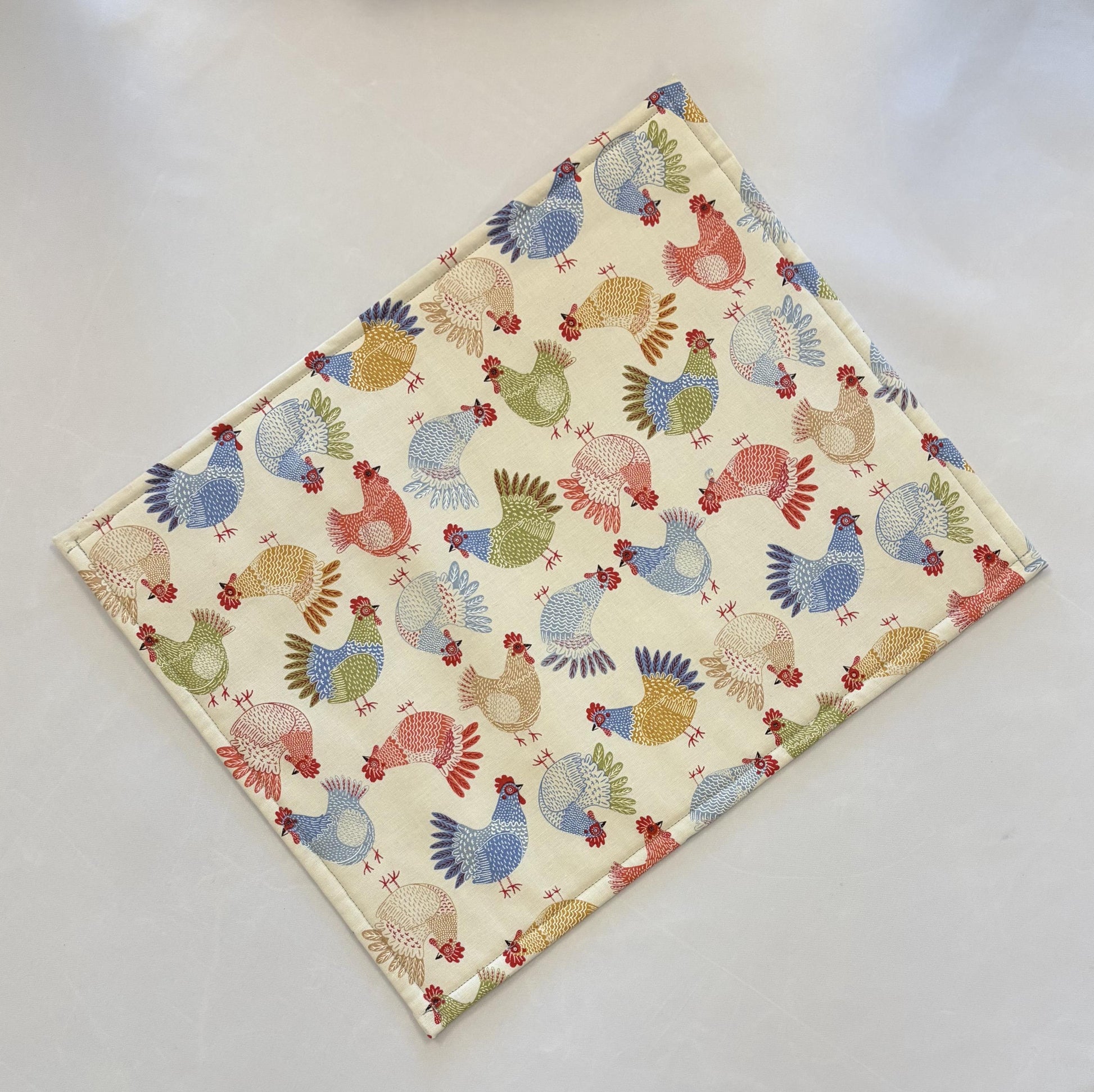 Project Bag 11 x 14 - Vinyl Front - Red Henhouse