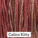 Calico Kitty