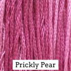 Prickly Pear