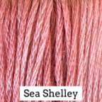Sea Shelley