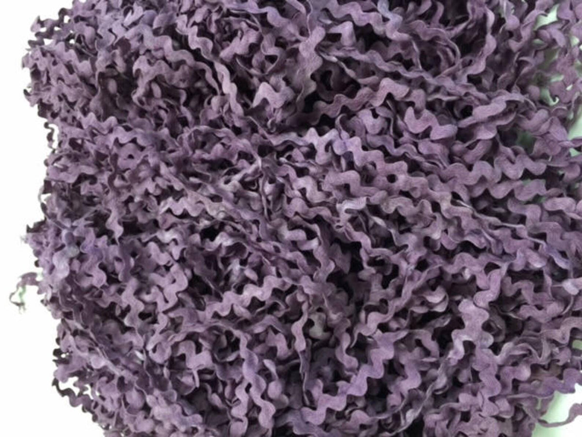 Grape Fizz Rick Rack Trim (3 yards) - 1/2 inch - Lady Dot Creates