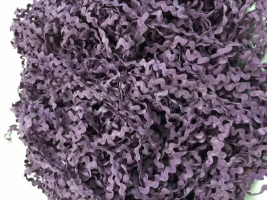 Grape Fizz Rick Rack Trim (3 yards) - 1/2 inch - Lady Dot Creates