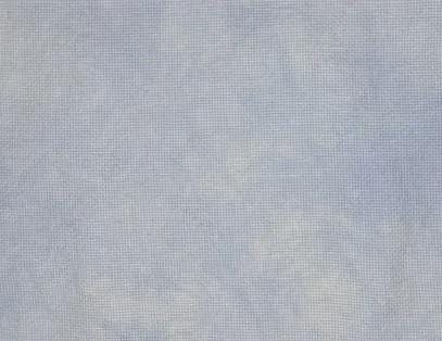 36 count Forget-Me-Not Lugana by Atomic Ranch Fabrics